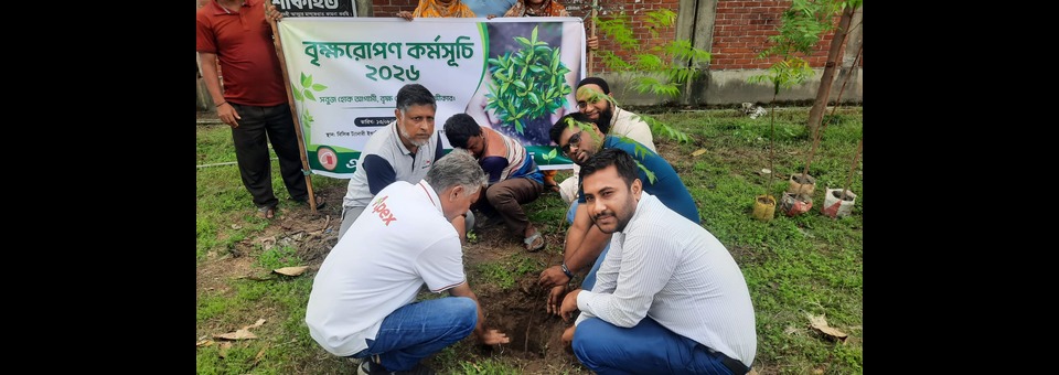 Tree Plantation